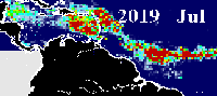 2019
